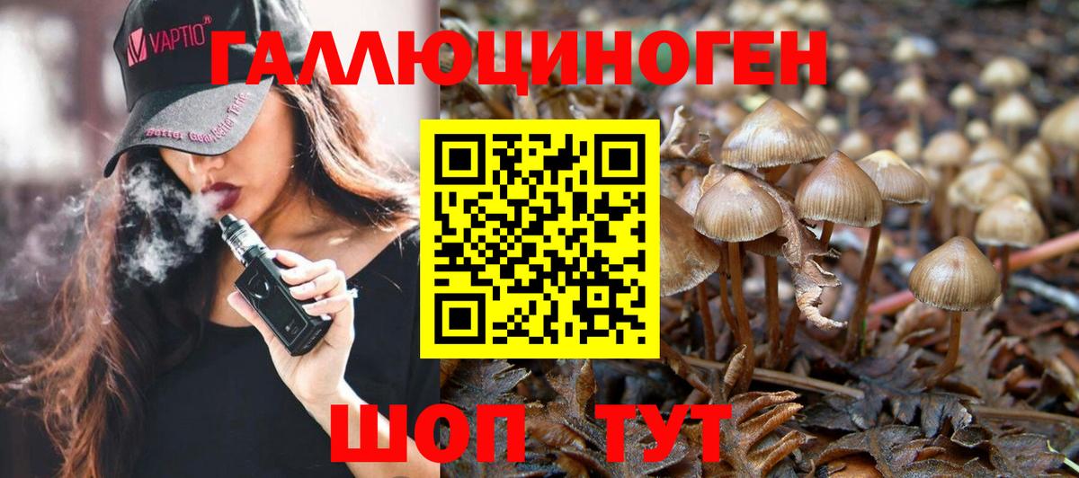 Галлюциногенные грибы Cubensis  закладки  Аргун  Псилоцибиновые грибы Cubensis  Вход с VPN 